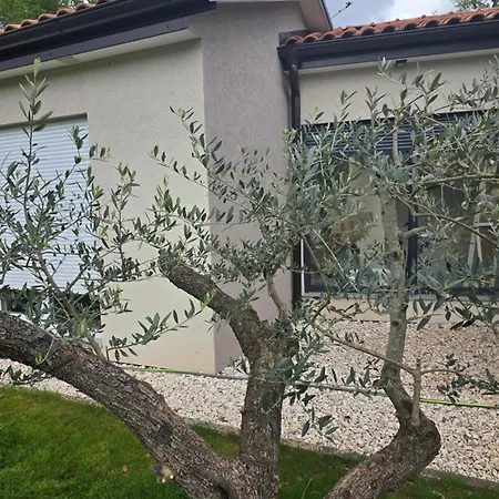 Βίλα Silence Pazin