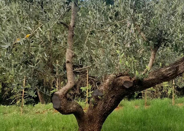 וילה Silence *